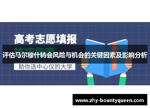 评估马尔穆什转会风险与机会的关键因素及影响分析 评估马尔穆什转会风险与机会的关键因素及影响分析